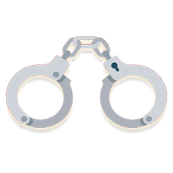 Arrest, Search and Seizure Spring 2024 Review