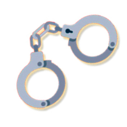 Arrest, Search and Seizure Review 2025