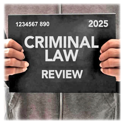 2025 Criminal Law Review