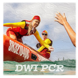 DWI Post-Conviction Relief: Saving Your Clients from Catastrophe